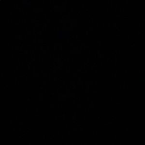 Meet your Posher, Esmeralda